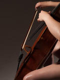 Areena-in-Sweet-Cello-1-a33uk1odmu.jpg