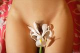 Masha-Bodyscape%3A-Delicate-Flower-70iwlrncjf.jpg