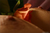 Nata-Bodyscape%3A-Love-is-a-Rose-i0or6d97ex.jpg